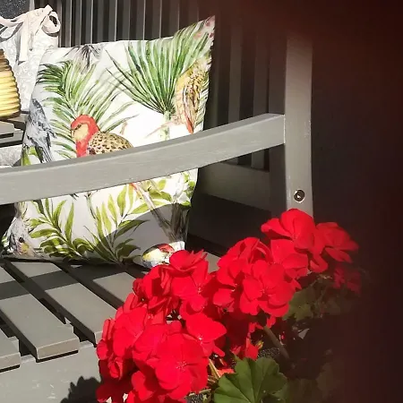Apartamento Petter