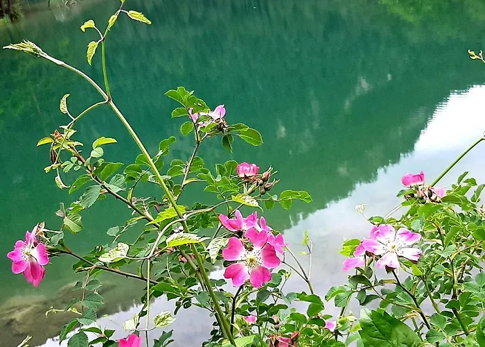 아파트 Petter 시