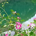 Διαμέρισμα Petter See