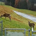 Petter Διαμέρισμα *